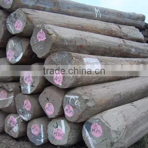 EBONY SAW LOGS AND BILLETS thumbnail-1