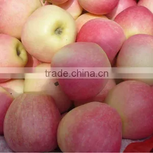 Gala Apple Factory thumbnail-1