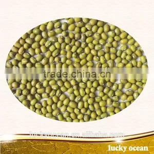 Green Mung Beans thumbnail-1