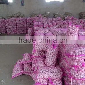 2016 New Fresh White Garlic at Cheap Price thumbnail-5