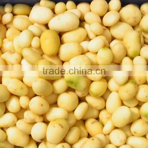 Ginger Washing and Peeling Machine Potato Brush Peeler Machine With Mix Brushes thumbnail-6