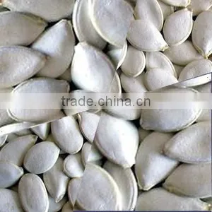 Snow White Pumpkin Seeds thumbnail-1