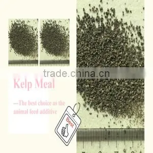 Cattle,Horse,Chicken,Dog,Pig,Fish Use Seaweed Powder Type Feed Grade Kelp Meal thumbnail-3