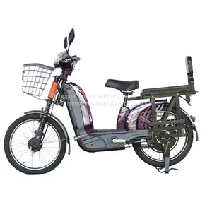 2017 Hotsalecargo Loading Bike Electric Bike Electric Bicycle for Carry Goods thumbnail-1