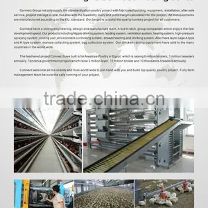 Chicken Farm Design for Big Chicken Farm Equipment thumbnail-1