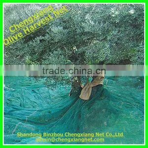 HDPE Plastic Olive Net thumbnail-1