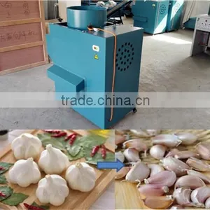 The Price of Garlic Separator Machine and Peeling Machine in China Factory thumbnail-4