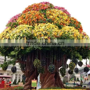 PP Black Hanging Basket Flower Pots for Garden Decoration thumbnail-1