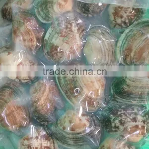 2016 NEW SEASON SHORT NECKED CLAM thumbnail-1