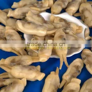 Frozen Vacuum Razor Clam Meat(200-300) thumbnail-1
