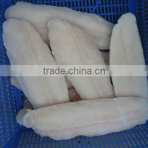 Pangasius thumbnail-1