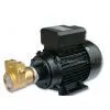 Rotary Vane Pump thumbnail-1