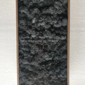 Preserved Forest Moss for Hotel or Office Decoration thumbnail-1