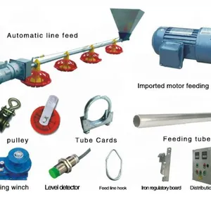 Broiler Chicken Feeding System and Chicken Farm Equipment thumbnail-3