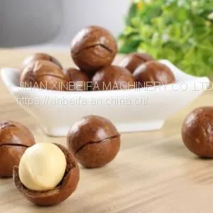 Macadamia Nut Drying Machine thumbnail-4