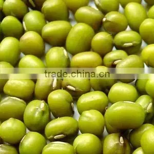 Yellow Mung Bean thumbnail-1