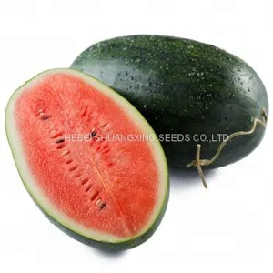 Early Maturity Red Flesh Hybrid f1 Watermelon Seeds thumbnail-1