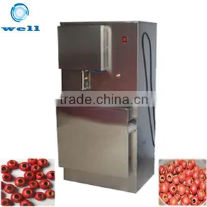 Industrial Hawthorn Pitter Machine thumbnail-1