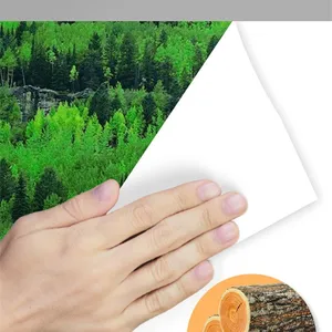 Double a A4 Copy Paper A4 70/75/80 GSM Ready to Ship 100% Woold Pulp 80gsm A4 Paper 80gsm 75gsm 70gsm,80gMAIL+kala@sdzlzy.com thumbnail-4
