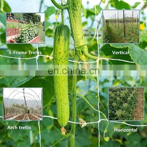 Factory Supply White Color Elastic Trellis Net For Hydroponics thumbnail-4