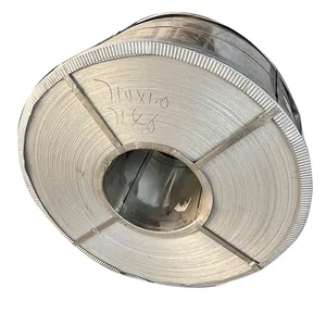 High-Quality Excellent Corrosion Resistance Pre-Painted Galvanized Steel Coil for Ceilings thumbnail-2