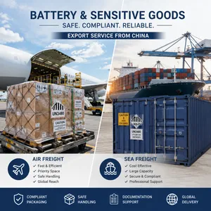 China Battery and Sensitive Goods Shipping Agent With DDP Delivery thumbnail-4