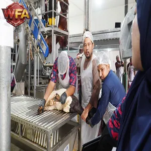 PLC Intelligent Controlled Full Bovine Slaughter Processing Line Food Grade SUS304 Beef Abattoir Turnkey Equipment With Custom Layout Design thumbnail-2