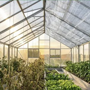 Aluminum Foil Sunshade Net 90% Shading Efficiency With Reflective Coating for Heat Reduction thumbnail-5