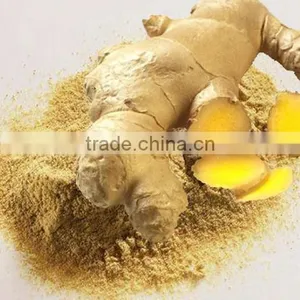 Dried Ginger Powder Manufacturer and Supplier thumbnail-1