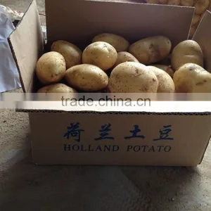 2015 Super Quality of the Potato thumbnail-5