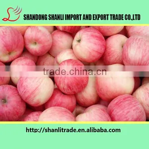 Buy Paper Bagged/fresh Yiyuan Fuji Apple/chinese Apple Price thumbnail-3