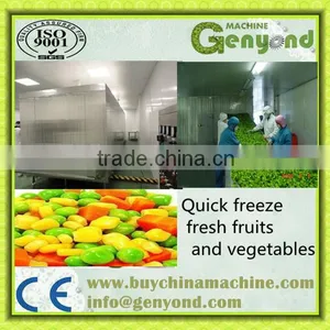 Tunnel Instant Freezer SD-5000 KG thumbnail-1