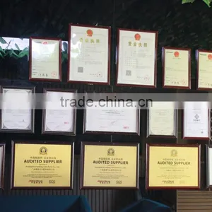 Guangdong IFOB Automobile Technology Co., Ltd. company overview - view 1 thumbnail