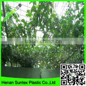 Low Price New Hdpe Material Climbing Plants Supporting Network For Sale thumbnail-4