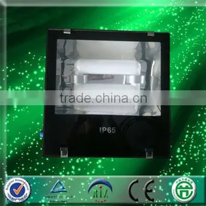 China Manufacturer 250W Electronic Induction Flood Light thumbnail-1