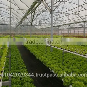 Greenhouse Climate Control System H2h Environment 1000 With Sensors thumbnail-5
