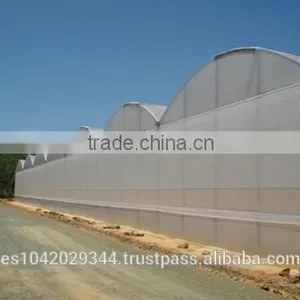 Versatile Tropical Greenhouses for NFT, Hydroponics and Drip Irrigation thumbnail-4