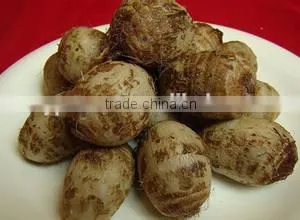 New Crop Taro Root With High Quality thumbnail-1