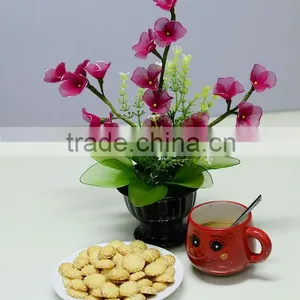 Alpha Egg Cream Biscuit - High Quality and Competitive Price thumbnail-3