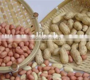Roasted Peanut in Shell for Recipes thumbnail-1