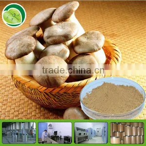 Natural Shiitake Mushroom Mycelium Extract thumbnail-1