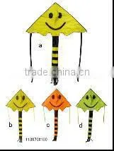 Kites thumbnail-1