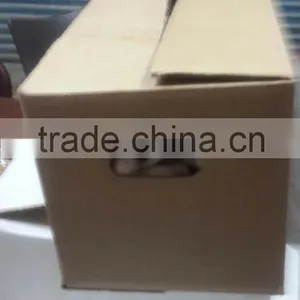 High Quality Garlic White Garlic With Good Packing thumbnail-3