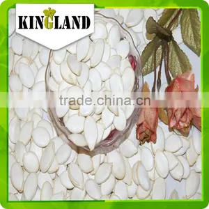 High Quaity Pumpkin Seeds Extract thumbnail-2