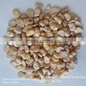 Chinese Broad Beans Peeled by Machine thumbnail-1