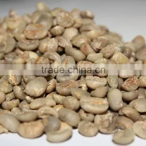 Raw Green Coffee Beans thumbnail-4