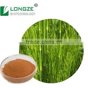Pure and Natural Horsetail Powder, Equisetum Arvense Extract Powder, Silica 7% thumbnail-1