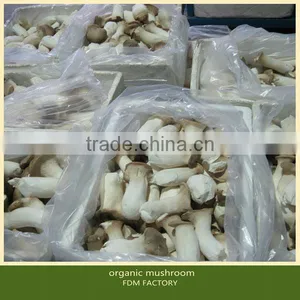 Fresh Pleurotus Eryngii Mushroom thumbnail-1