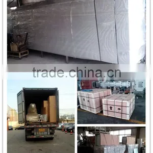 CE ISO New Pet Food Production Line Dog Food Production Line thumbnail-4