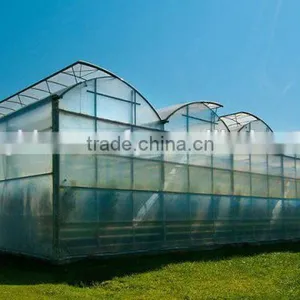 Used Greenhouse Natural Ventilation Greenhouses for Sale thumbnail-2